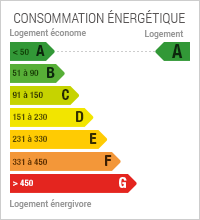 Consommation en énergie : 42 kWh par mètre carré